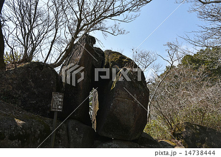 出船入船 出船入船 14738444