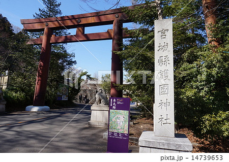 宮城県護国神社（本丸跡） 14739653