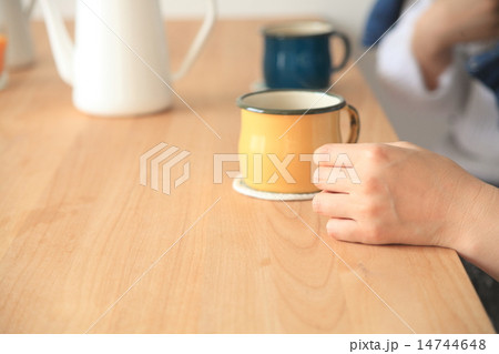 お茶をしている女の子達 お茶をしている女の子達 14744648