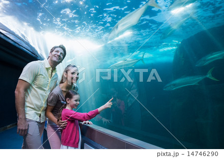 Happy family looking at tank 14746290