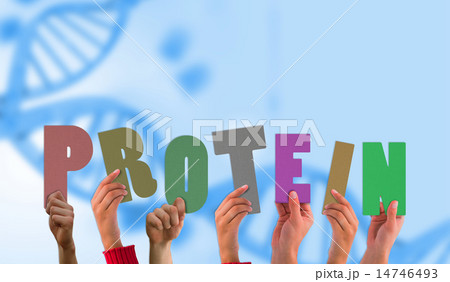 Composite image of hands holding up protein Composite image of hands holding up protein 14746493