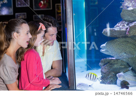 Happy family looking at fish tank 14746566