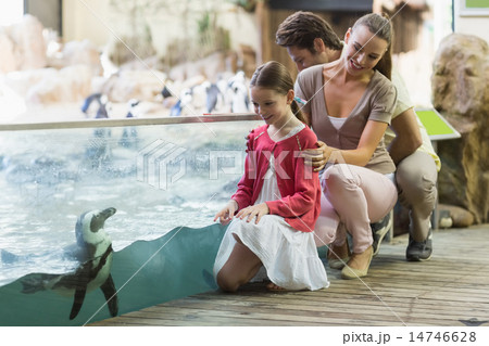 Happy family looking at penguins Happy family looking at penguins 14746628
