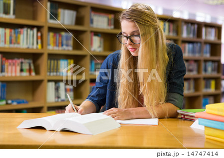 Student studying in the library Student studying in the library 14747414