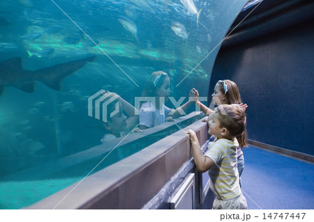 Little siblings looking at fish tank 14747447