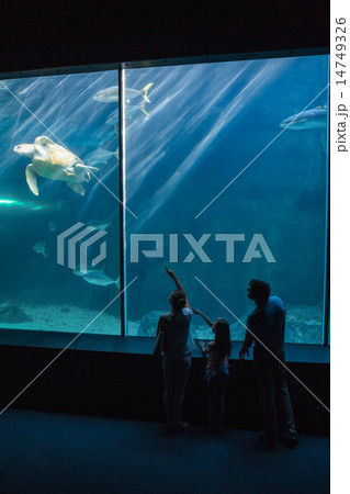 Happy family looking at fish tank 14749326