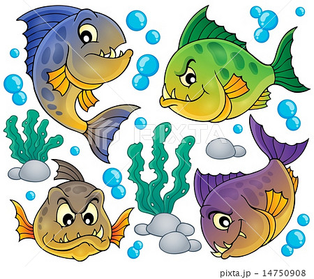 Piranha Fishes Collectionのイラスト素材