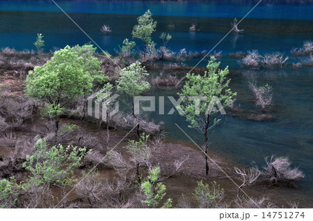 宝仙湖19 宝仙湖19 14751274