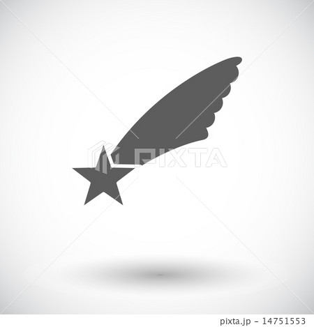 Christmas star Christmas star 14751553