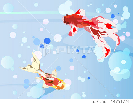 金魚 金魚 14751776