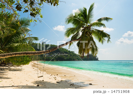 Tropical beach at Mahe island Seychelles 14751908