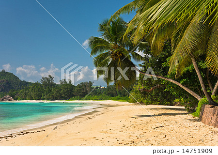 Tropical beach at Mahe island Seychelles 14751909