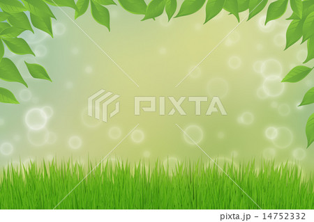 Green grass Green grass 14752332