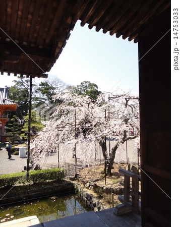 道成寺本堂内 14753033