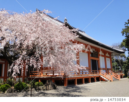 道成寺念仏堂 道成寺念仏堂 14753034