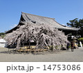 道成寺本堂 14753086