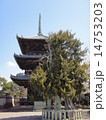 三重の塔 14753203