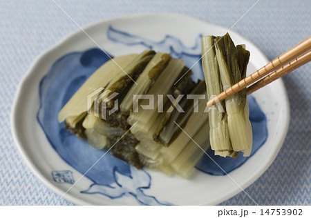 しやくし菜漬け しやくし菜漬け 14753902