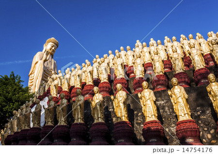 仏 ブッダ 釈迦 14754176