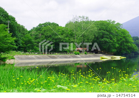 長老湖(宮城県七ヶ宿町) 長老湖(宮城県七ヶ宿町) 14754514
