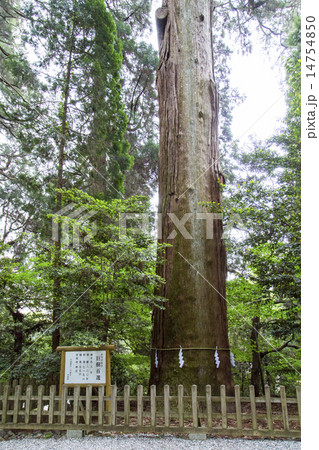高千穂神社 高千穂神社 14754850