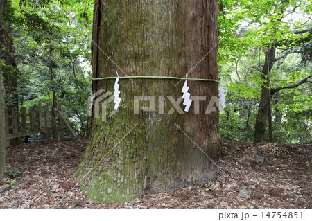高千穂神社 14754851