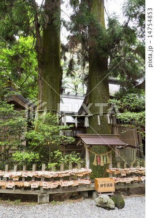 高千穂神社 14754853