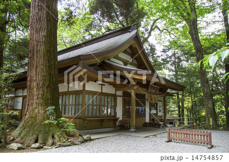 高千穂神社 14754857