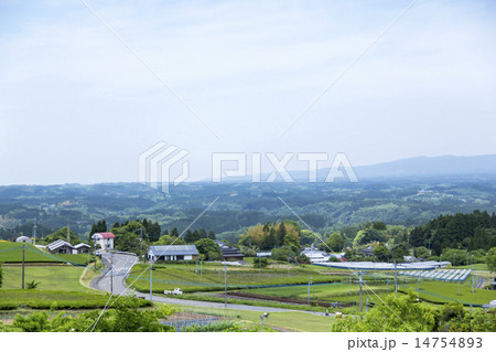 田園風景 14754893