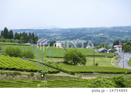 田園風景 14754895