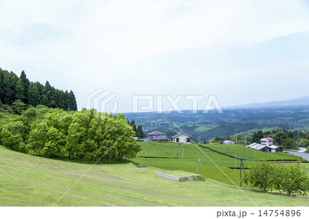 田園風景 14754896