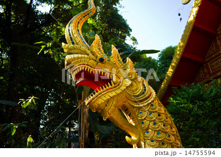 Golden Naga in thai temple Golden Naga in thai temple 14755594