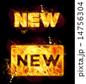 Fire Word New 14756304