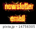 Fire Text Newsletter Email 14756305