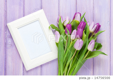 Purple tulip bouquet and blank photo frame Purple tulip bouquet and blank photo frame 14756500