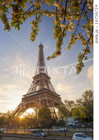 Eiffel Tower with spring tree in Paris, France 14756724