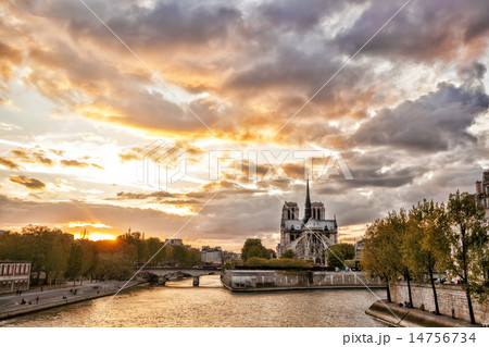 Notre Dame cathedral in spring time, Paris, France 14756734