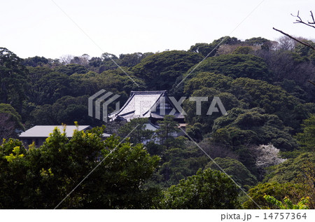 蓮着寺遠景 14757364