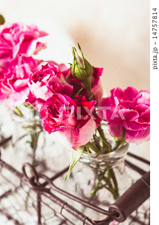 Pink flowers 14757814