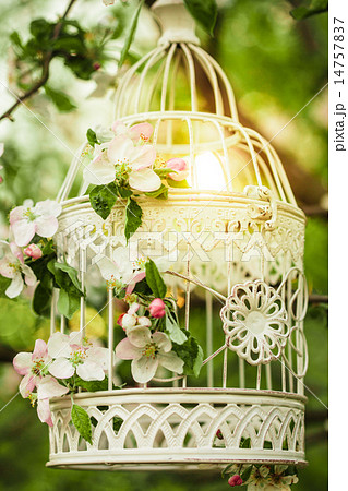 bird cage - romantic decor 14757837