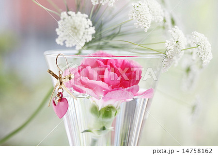 記念日の花 14758162