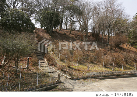 能勢妙見山 能勢妙見山 14759195