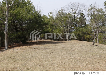 能勢妙見山 14759198