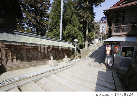 能勢妙見山 14759224