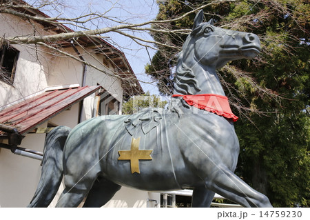 能勢妙見山 能勢妙見山 14759230