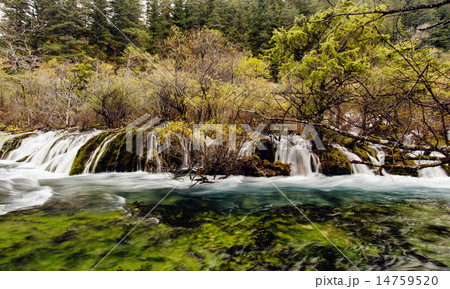 Waterfall in Jiuzhaigou,Sichuan China 14759520