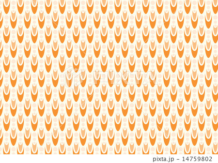 Orange Abstract Boomerang and Circle Pattern 14759802
