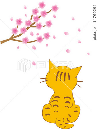 猫と桜 14760294