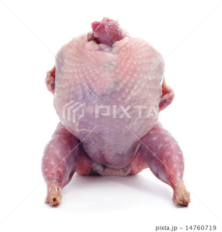 plucked quail 14760719
