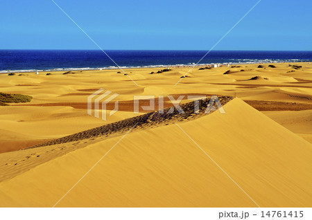 Natural Reserve of Dunes of Maspalomas, in Gran Canaria, Spain 14761415